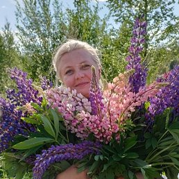 ���� ����, �����������, 48 ��� - ��������� 11 ���� 2023