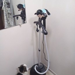 �������, ������, 50 ���