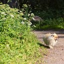 ���� �����, �����-���������, 46 ��� - ��������� 23 ���� 2023 � ������ �������� �����