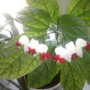 ���� ������, ������, 67 ��� - ��������� 2 ������� 2023 � ������ ���� ����������