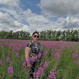 ������, ������, 38 ���