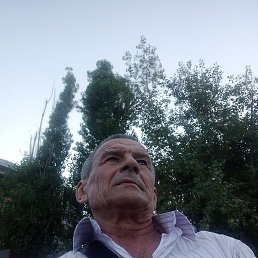 �����, ���������, 65 ���