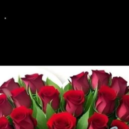 ���� ���, ������ - ��������� 30 �������� 2023