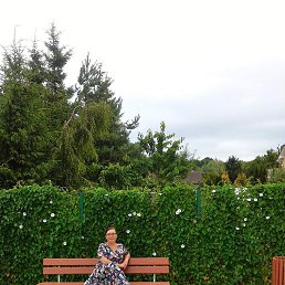 �����, ������, 48 ���