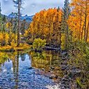 ���� �����, ������, 45 ��� - ��������� 18 ������� 2023