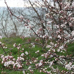 ���� C�����, �������, 49 ��� - ��������� 28 ����� 2023