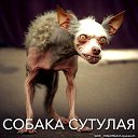 ���� �������, �����, 45 ��� - ��������� 5 ��� 2023 � ������ ���� ����������