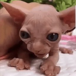 ���� Anfisa, ������, 69 ��� - ��������� 11 ���� 2023