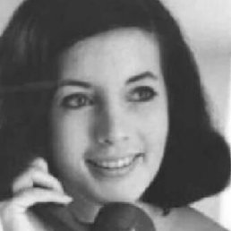 ����, ��������, 40 ���