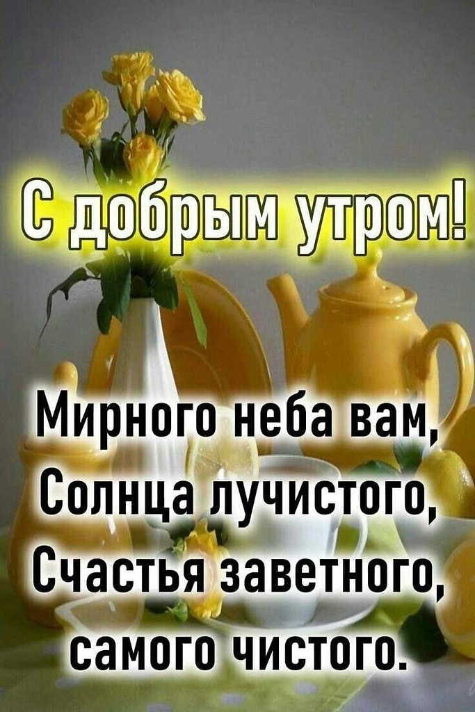--------------------------------------------