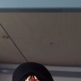 �������, ������, 37 ���