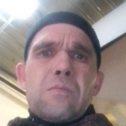 ����, �����, 50 ���