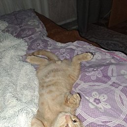 ���, ������, 20 ���