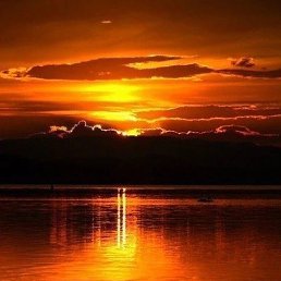 ������, ���������, 35 ���