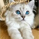 ���� �������, ������ ��������, 35 ��� - ��������� 16 ����� 2023