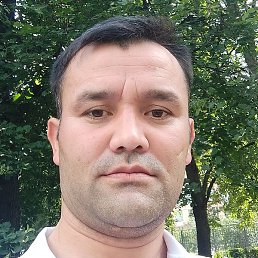 ����, ������, 41 ���