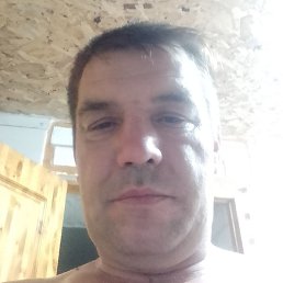 �����, ������, 42 ����