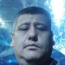 ��������, �����������, 38 ���