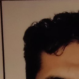 ����, ������, 40 ���