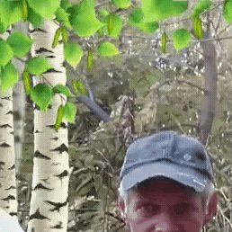 ���������, �������, 54 ����
