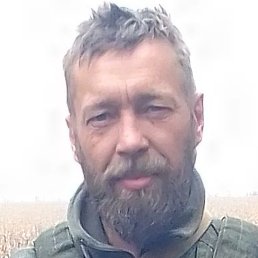 ������, �������, 46 ���