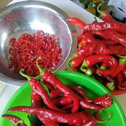 �, ������, 41 ���