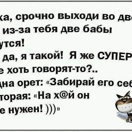 ���� ������, �����������, 49 ��� - ��������� 17 �������� 2023