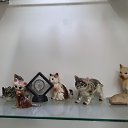 ���� Mark, ����-����, 56 ��� - ��������� 13 ���� 2023 � ������ �cat�