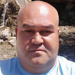 ���������, �����, 41 ���