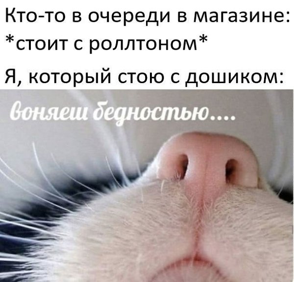    - 22  2023  22:11