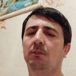 ����, �����-���������, 43 ����