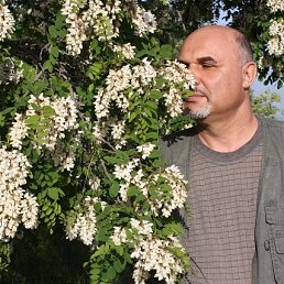 ���� ��������, ����� (�������), 66 ��� - ��������� 16 ����� 2023