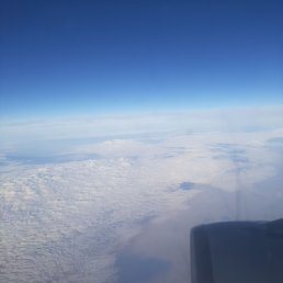 �����, ������������, 38 ���