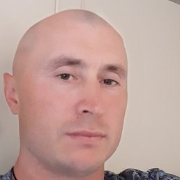 �������, ���������, 41 ���