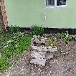 ���� �����, ������, 55 ��� - ��������� 16 ���� 2023