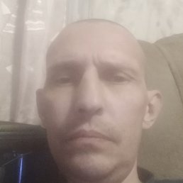 , , 41 