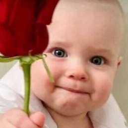 ���, ������, 45 ���