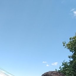 �������, ���������, 48 ���