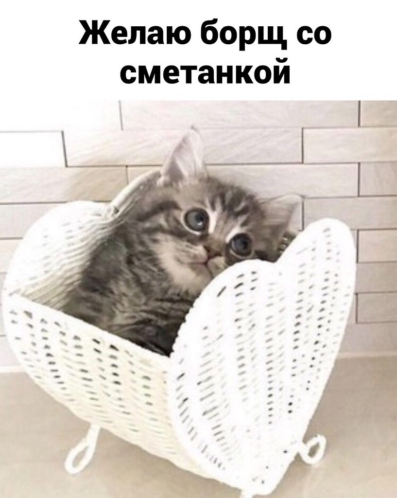 �������� ������������) - 3
