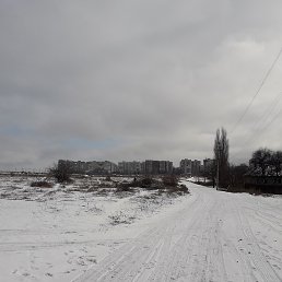 ���������, �����������, 42 ����