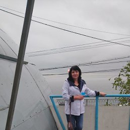 �����, �������, 56 ���