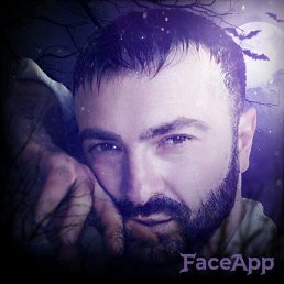 ����, ������, 41 ���