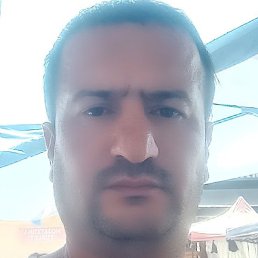 Temur, �����������, 38 ���