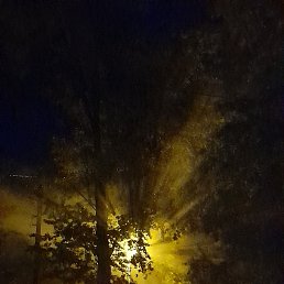 ���� �������, ������, 41 ��� - ��������� 11 ���� 2023