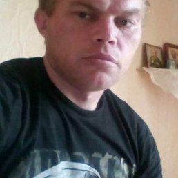 ����, �����-���������, 41 ���