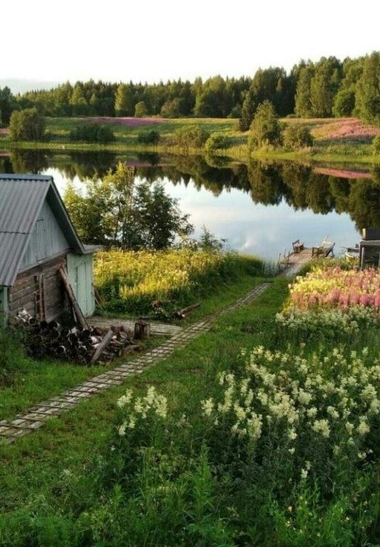 Старые долги.- Ну, что, попался? – Жена застыла на пороге, уперев руки в бока и хищно раздувая ...