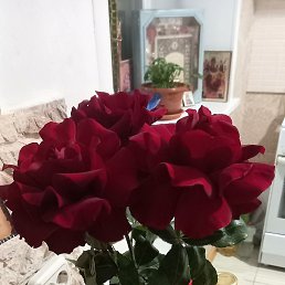 �����, ������������, 49 ���