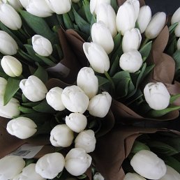 ����, ������, 42 ����