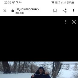 ���������, ��������, 41 ���