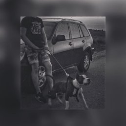 ���� ���� ���������, ������, 37 ��� - ��������� 2 ������� 2023